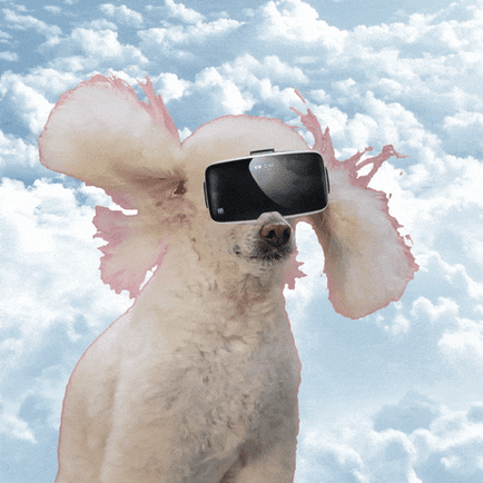 Virtual Reality dog