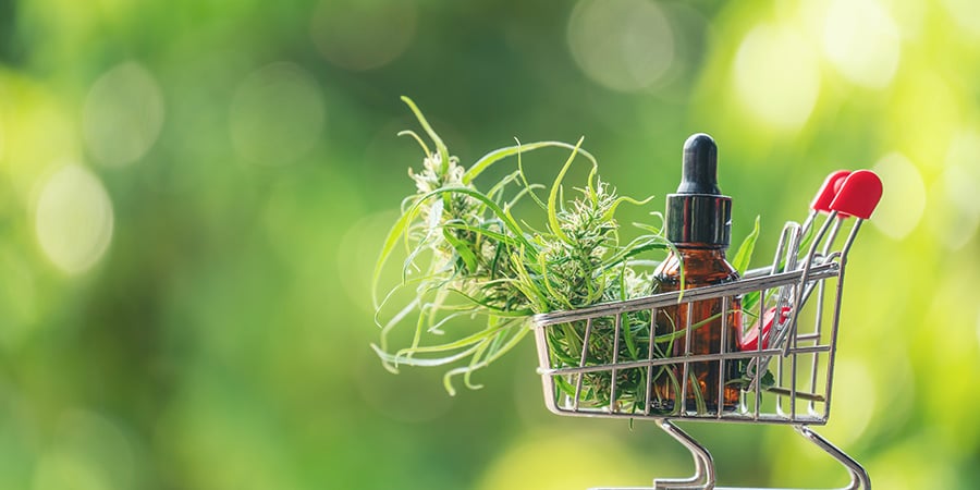 cbc cannabis seo agency